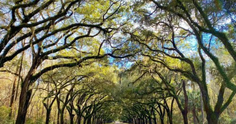 15 Best Things to Do in Savannah